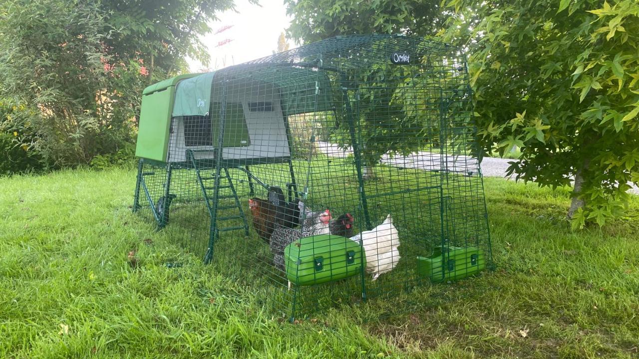 Les Mouettes - La Paix Du Bord De Seine Villa Berville-sur-Seine Ngoại thất bức ảnh